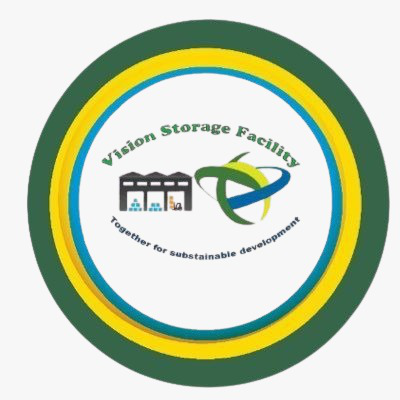 Vision Storage Logo